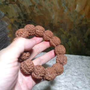 23mm+ Nepal Rudraksha high altitude (dense & high natural oil contents) Panlong Double Dragon 5 Mukhi (faces) bracelet/handheld 23毫米+ 尼泊尔大金刚菩提子五瓣超高密度高山安娜铁籽盘龙双龙手链/手持