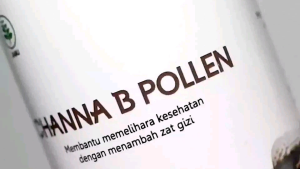 Channa B Pollen isi 60 kapsul BPOM Halal Kutuk Premium plus Beepollen 100% Original