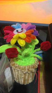 Chậu hoa kẽm Nhung Mini