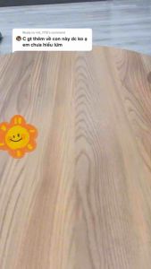 Scoby làm kombucha kèm nước mồicon giống làm trà kombuchascoby làm trà trái cây lên men_Gianhangcuanhu