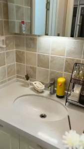 Glass Bottle Diffuser Essential Oil Perfume with Stick (150ml)