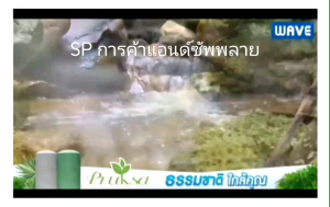 ถังเก็บน้ำตั้งพื้นบนดินไม่เป็นตะไคร่ จัดส่งฟรี ยี่ห้อ Wave รุ่นพฤกษา ขนาด 500 ลิตร 700 ลิตร 1000 ลิตร 1500 ลิตร 2000 ลิตร เม็ดพลาสติก มอกเลขที่ 1379-2551 แถมฟรีลูกลอย 1 นิ้วทองเหลือง รับประกันยาวนาน 25 ปี เม็ดพลาสติกทึบแสง UV 8 + ถังดีไซน์สวย