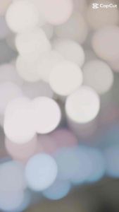 DutyGear Leather Dressing Black Glossy 100 ML Leather Shoes Shine