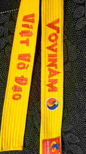 Đai Vàng Vovinam 2 Vòng Loại Tốt - Miễn Phí Vận Chuyển