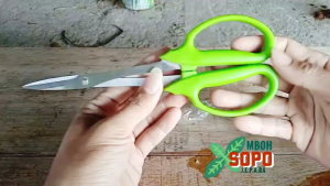 Alat Bonsai berkebun Gunting Pruning Murah Import China 21 cm