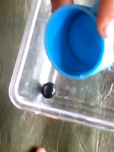 BATU GETAR AIR ( BILA TERKENA AIR )