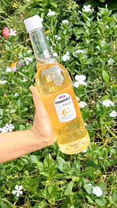 คาโมมายล์ ชาหมัก คอมบูชา CHAMOMILE Kombucha ไม่มีคาเฟอีน ดีท็อกซ์ ท้องผูก มีโพรไบโอติกสูง keto Vegan