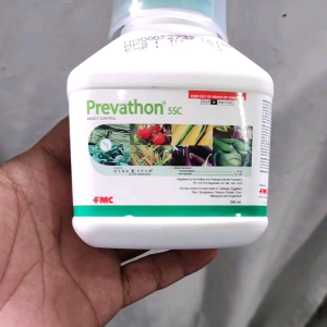 Prevathon 5SC Systemic Insecticide for Cabbage Eggplant Stringbeans Rice Tomato Sugarcane Corn Bitterground