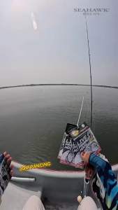 【Jom Pancing】SEAHAWK LIVE PRAWN HOOK FISHING LURE BAIT MATA UMPAN UDANG HIDUP