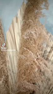 Gaun Pengantin Beludru Terbaru & Elegan: Tips Memilih Harga Murah