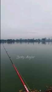Soft Frog AF Lure 4 Cm Slim Umpan Gabus