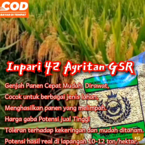 Benih super unggul inpari 42 agritan GSR