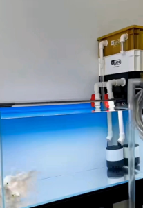 Alat Pembersih/Pompa Penyedot Vakum Tangki Ikan Bersih Akuarium 1.4m/2.2m Yang Mudah Digunakan