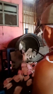 KRUPUK USEK GORENG PASIR NON KOLESTEROL KRUPUK TAYAMUM