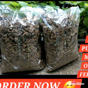 Pure Dry Cow Manure 5 Kilos: A Natural Garden Soil Enhancer