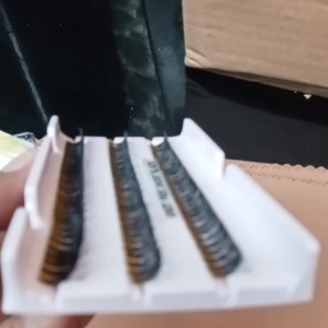 Desain Bulu Mata Alami & Bulu Mata Palsu Extension