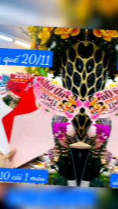 Sỉ 10 ốc quế gói hoa quà tặng 8/3 20/10 20/11 ( không kèm hoa )