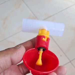 Automatic Cup Federer Poultry Product