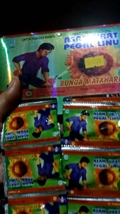 MATAHARI.EXTRA ASAM URAT ORIGINAL