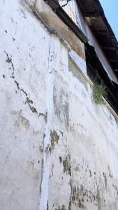 Gamis Muslimah Vena Jumbo Maxy Dress Bahan Kaos Curly Motif Polos Allsize LD120 Melar 160