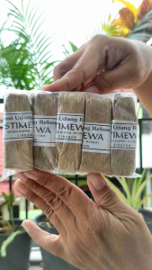 5 PCS TERASI UDANG REBON CAP ISTIMEWA ASLI KHAS INDRAMAYU CIREBON