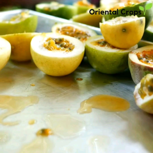 Easy to Grow Passion Fruit: 10 Seeds for Planting