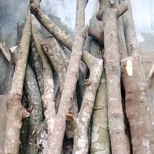 Golok Sepaket 3Pis & Golok 1 & 2 Pisau: Keunggulan dan Manfaatnya