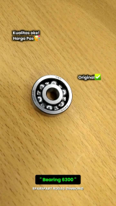 Laher/Bearing 6300 (63AD)