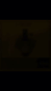 Premium Quality Sea Buckthorn Seed Dressing Oil 110ml 高品质沙棘籽油