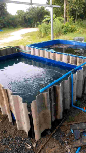 กระชังบกบ่อผ้าใบ PE 200 Super หนา0.3มิลขนาด1.2Mx2Mx40cmราคาพร้อมโครง