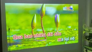 Máy chiếu chính hãng Panasonic PT-LB330 phù hợp dạy học/văn phòng/ quán.