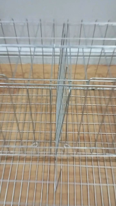 4 Doors Battery Cage Galvanized and Coated Blue color / RTL / Sabong /Cock cage/ Game fowl / Kulungan/ Paitlugan ng manok