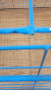 17 lines Scratch pen blue (light) / Chicken pen / cock cage / game fowl / kulungan ng manok