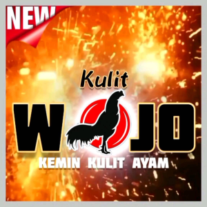 KULIT WOJO Kemin Badan Ayam Laga Aduan Bangkok Kemin Merah Ayam