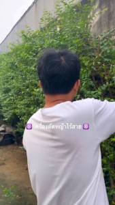 [[ส่งฟรี ไม่ต้องใส่โค้ด]] เครื่องตัดหญ้าไร้สาย Makita รุ่น 229v พร้อมแบต น้ำหนักเบา ใช้งานง่าย เหมาะกับทุกบ้าน งานเทียบ AAA