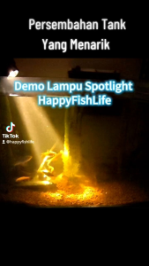 Happyfishlife Spotlight Three Modes COB LED Adjust Zoom Aquarium Light BlackWater Aquascape
