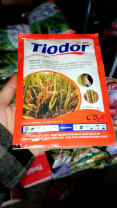 Tiodor 30 WP Insektisida Racun Kontak Dan Lambung Mengendalikan Hama Wereng Coklat Pada Tanaman Padi