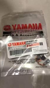 Arang Areng Cool Stater Brush Jupiter 5TP H1801