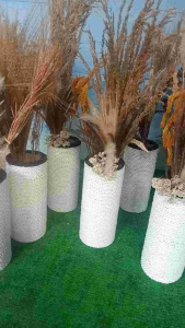 (3Paket)Obral Murah Paket Bunga Kering + Pot