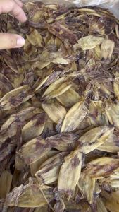 ปลาหมึกแกะตาฟิตหมึกแกะตาปลาหมึกเจาะตาฟิตขนาด500กรัม