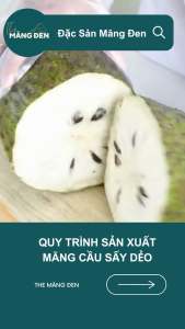 Mãng Cầu Sấy Dẻo Không Đường TheMĐ