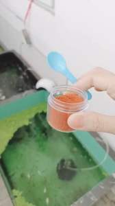 Thức ăn cho cá cảnh dành cho cá nhỏ cá lớn đều sử dụng được thức ăn cá tăng màu  nhanh lớn khoẻ mạnh tăng sức đề kháng