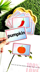 English Flash Cards : 20 Themes– Picture & Word Separated | Kad Imbas | Preschool Learning | Vocabulary & Activities