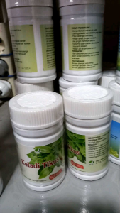 EZA Herba Natural Ekstrak Daun Keladi Tikus 60 kp | efektif menyembuhkan kista miom |keladi tikus eza