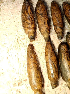 kembang kantil batik batu pajangan