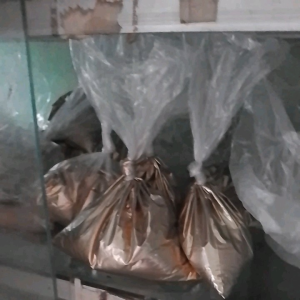 BRONZE EMAS POWDER L5 ORI  warna mirip emas antam