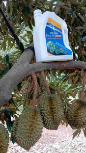 SIÊU VỌT ĐOT  ĐẠM CÁ - HUMIC CAL 5 LÍT/CHẾ PHẨM VI SINH/ Chuyên Vọt Đọt Kích rễ