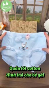 Combo 10 Quần Lót Bé Gái Cotton Thấm Hút Mồ Hôi Hình Thỏ Con Dễ Thương Đáy Kháng Khuẩn 25-62KG CTB04