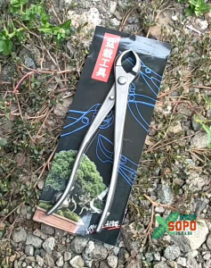 Alat Bonsai Catok Bonsai Cembung Import Murah panjang 21 cm
