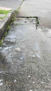 แปรงขัดพื้นทองเหลืองพร้อมด้าม ตรามงกุฎ ด้ามเหล็กความยาว 120 มม เซนติเมตร (คละสี)